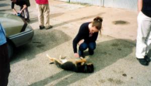 laura and dog