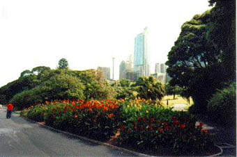 View of City from Botanical Gardens