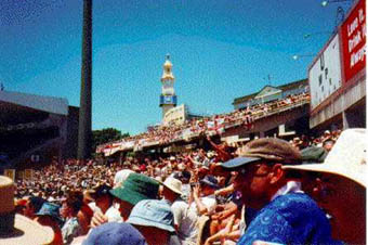 Barmy Army at the Cricket