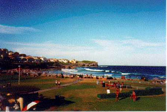 Bronte