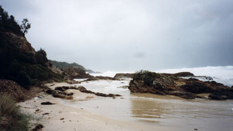 nsw coast